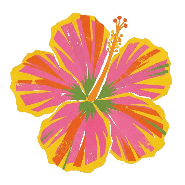 Criação de conteúdo para empresas locais: como gerar autoridade e aparecer melhor no Google