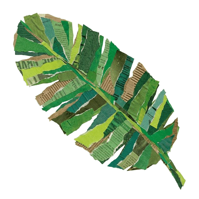 Folha de Bananeira
